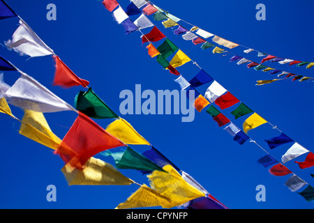 Les drapeaux de prières, Kunzum Pass, Lahaul et Spiti, Himachal Pradesh, Inde himalayenne, l'Inde du Nord, l'Asie Banque D'Images