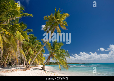 République dominicaine, La Altagracia Province, le Parc national del Este, Isla Saona Banque D'Images