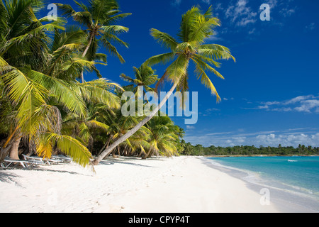 République dominicaine, La Altagracia Province, le Parc national del Este, Isla Saona Banque D'Images