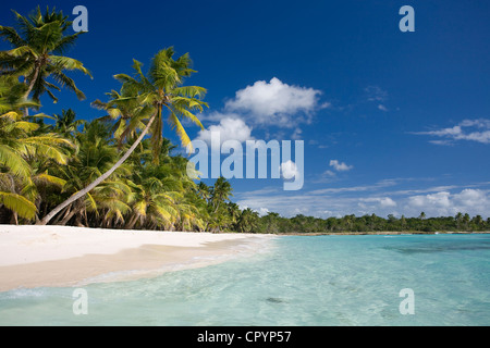 République dominicaine, La Altagracia Province, le Parc national del Este, Isla Saona Banque D'Images