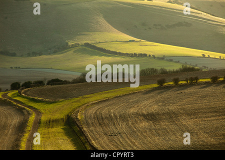 Après-midi d'hiver sur les South Downs, East Sussex, Angleterre. Banque D'Images