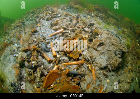 Munitions, cartouches, balles, sous l'épave, chalutier mine Collective 'paysan', de la mer Noire, l'Ukraine, l'Europe Banque D'Images