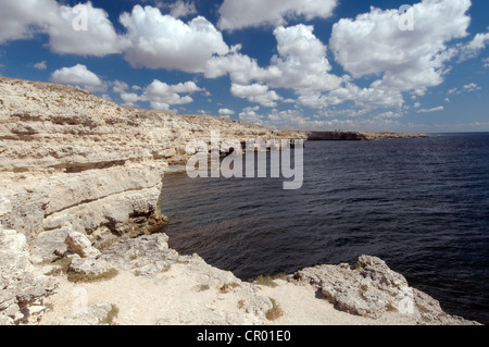 Littoral, Cape Tarhankut, Tarhan Qut, Crimea, Ukraine, Europe de l'Est Banque D'Images