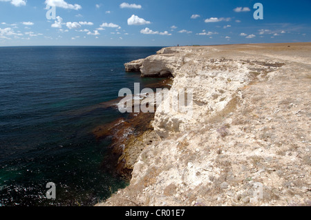 Littoral, Cape Tarhankut, Tarhan Qut, Crimea, Ukraine, Europe de l'Est Banque D'Images