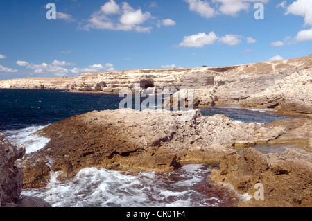 Littoral, Cape Tarhankut, Tarhan Qut, Crimea, Ukraine, Europe de l'Est Banque D'Images