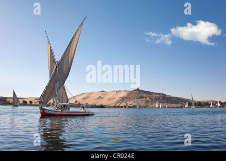 Felouque, un bateau à voile traditionnel en bois, sur le Nil, Assouan, Egypte, Afrique du Sud Banque D'Images