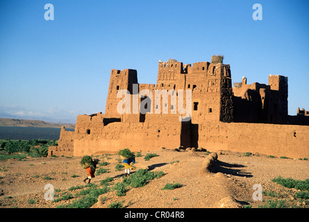 Le Maroc, Haut Atlas, Telmasla Kasbah près de Ouarzazate Banque D'Images