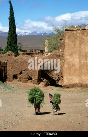 Le Maroc, Haut Atlas, Telouet, ancienne Kasbah du Glaoui Banque D'Images