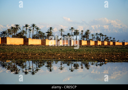 Le Maroc, Haut Atlas, Marrakech, ville impériale, les remparts de la ville et de l'Atlas Mountain Banque D'Images