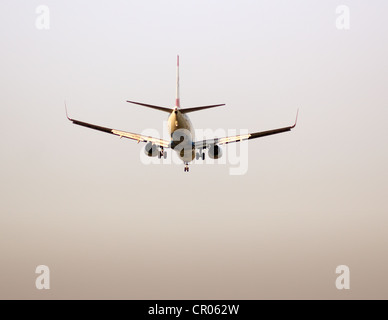 Twin jet plane sur l'approche à l'atterrissage, l'aéroport de Frankfurt, Frankfurt am Main, Hesse, Germany, Europe Banque D'Images