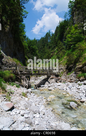 Sentier dans la gorge d'Griessbachklamm, Erpfendorf près de St Johann, Tyrol, Autriche, Europe Banque D'Images