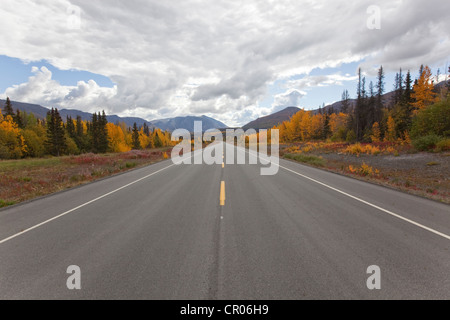 L'été indien le long de la route de Haines en direction de Haines Pass, Alaska, les feuilles en couleurs d'automne, le parc national et réserve de parc Banque D'Images
