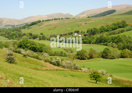 Vue en direction nord jusqu'à la rivière Annan Valley, près de Moffat, Dumfries & Galloway, Scotland Banque D'Images