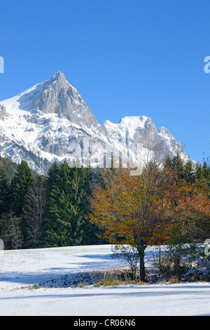 Reichenstein mountain, 2251m, dans une prairie, près de la jonction de la vallée de kaiserau, région des montagnes gesäuse, Styrie Banque D'Images