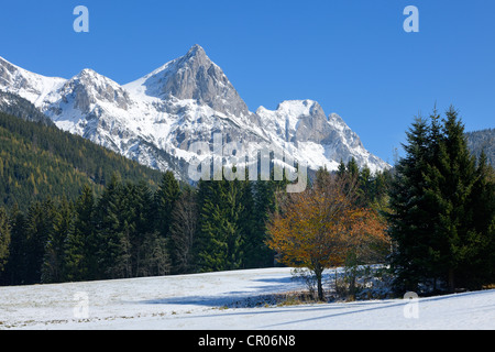 Reichenstein mountain, 2251m, dans une prairie, près de la jonction de la vallée de kaiserau, région des montagnes gesäuse, Styrie Banque D'Images