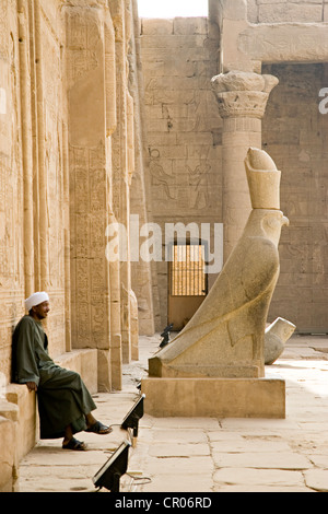 L'Égypte, de la Haute Égypte, vallée du Nil, Edfou, temple dédié à Horus, homme égyptien assis devant la statue du dieu Banque D'Images