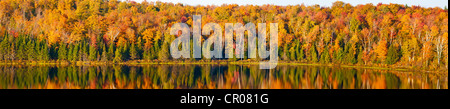 Panorama d'automne, la fin de l'après-midi au soleil, Bouth Bolton, Québec, Canada Banque D'Images