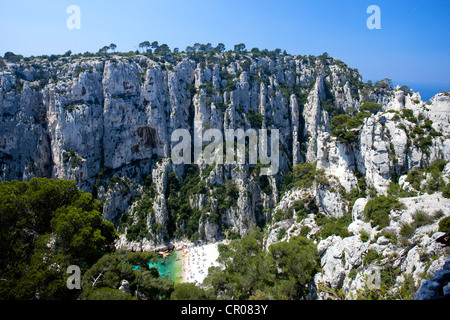 France, Bouches du Rhône, Marseille, Calanque d'en Vau (Parc National des Calanques depuis 2012/04/18) Banque D'Images