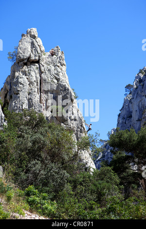 France, Bouches du Rhône, Marseille, Calanque d'en Vau (Parc National des Calanques depuis 2012/04/18) Banque D'Images