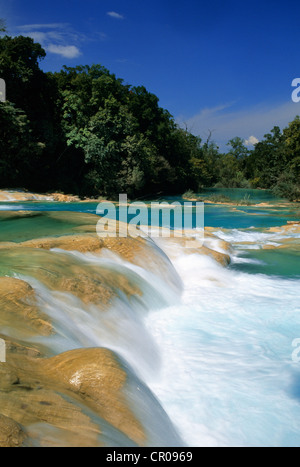 Le Mexique, l'État du Chiapas, Tumbala, chutes d'Agua Azul Banque D'Images