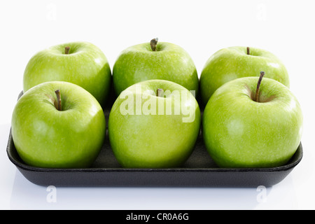 6 pomme verte sur un plateau en plastique, cultivar Granny Smith Banque D'Images