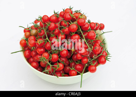 Les tomates cerises, les tomates cocktail, dans un bol Banque D'Images