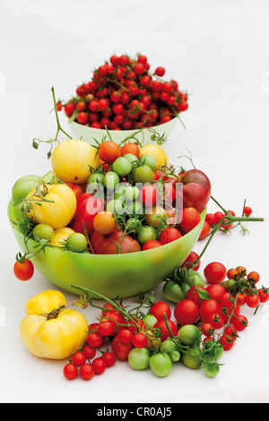 Diverses variétés de tomates Banque D'Images