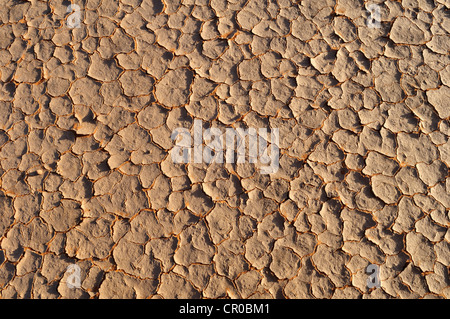 Surface brisée d'un sel et d'argile, pan'In Tehak région, montagnes ou Acacus Tadrart Acacus, le Tassili n'Ajjer National Park Banque D'Images