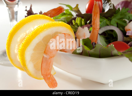 Salade de langoustines à base de crevettes, salade d'herbes, tomates italiennes, et les oignons rouges. Banque D'Images