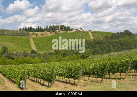 Campagne dans la région du Chianti, Toscane, Italie, Europe Banque D'Images