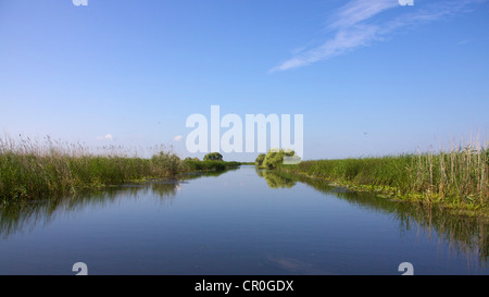 Le Delta du Danube, l'UNESCO World Heritage Site, Roumanie, Europe Banque D'Images