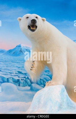 Modèle d'ours polaire, Longyearbyen, Norvège Banque D'Images