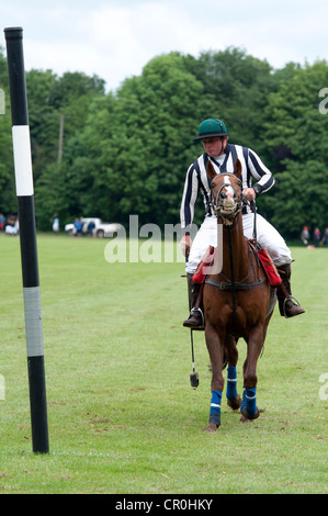 Juge-arbitre de Polo Banque D'Images