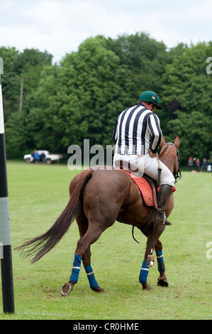 Juge-arbitre de Polo Banque D'Images