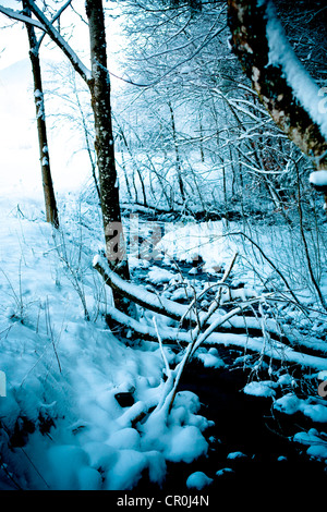 Flux couverts de neige, Berchtesgaden, Berchtesgadener Land, Bavière, Allemagne, Europe Banque D'Images