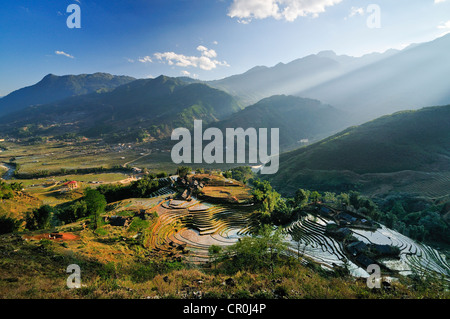 Maisons, les producteurs de riz, le vert des rizières en terrasse, les rizières près de Sapa, Sa Pa, province de Lao Cai, au nord du Vietnam, Vietnam Banque D'Images