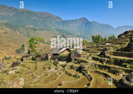 Maisons, terrasses de riz, les producteurs de riz, les rizières près de Sapa, Sa Pa, province de Lao Cai, au nord du Vietnam, Vietnam, Asie du sud-est Banque D'Images