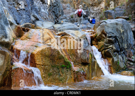 Randonneurs dans le Barranco de las Angustias, Ravin de l'angoisse, La Palma, Canary Islands, Spain, Europe, PublicGround Banque D'Images