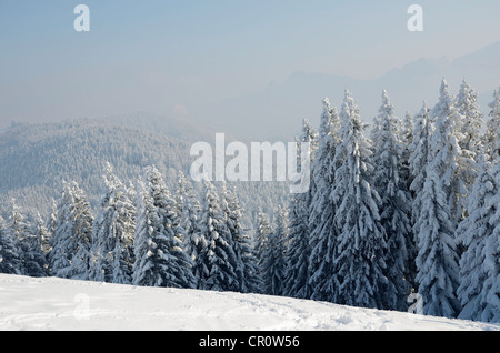 Paysage hiver neige-couvertes, l'inversion de conditions météorologiques à Schwarzenberg, montagne, près d'Elbach, Leitzachtal, Bavière Banque D'Images