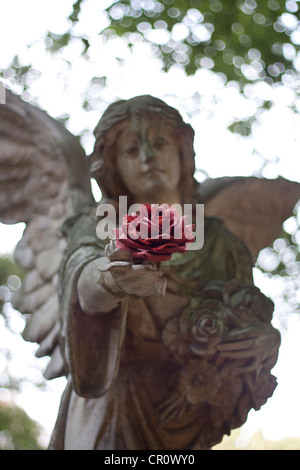 Ange sur donner cimetière rose rouge signe d'amour Banque D'Images