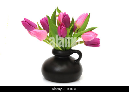 Bouquet de tulipes (Tulipa) dans un vase