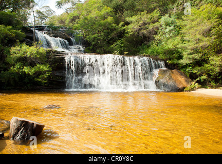 Murs en cascade de Wentworth, Blue Mountains, près de Sydney, Australie Banque D'Images