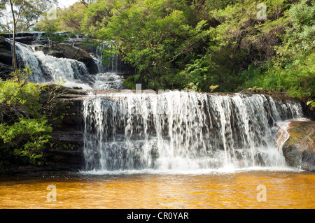 Murs en cascade de Wentworth, Blue Mountains, près de Sydney, Australie Banque D'Images