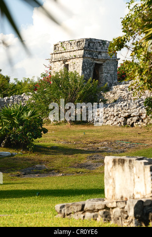 Photo des ruines Maya de Tulum au Mexique. Banque D'Images