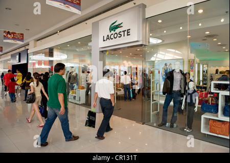 lacoste sm moa