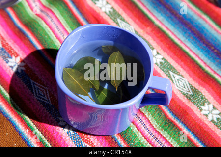 Plateau pour le mal fait à partir de feuilles de coca, Altiplano, Bolivie, Amérique du Sud Banque D'Images