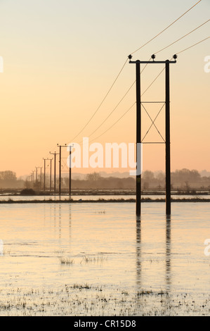 Des poteaux télégraphiques qui traverse les champs inondés sur les niveaux de Somerset, Royaume-Uni. Banque D'Images