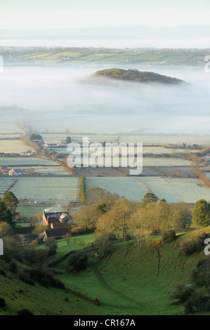 Avis de brouillard couvrant les Somerset Levels, vu de Batcombe Hollow sur les collines de Mendip, Somerset, Royaume-Uni. Banque D'Images