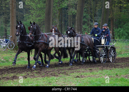 Championnat de courses de chariot à Horst Pays-Bas Banque D'Images