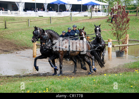 Championnat de courses de chariot à Horst Pays-Bas Banque D'Images